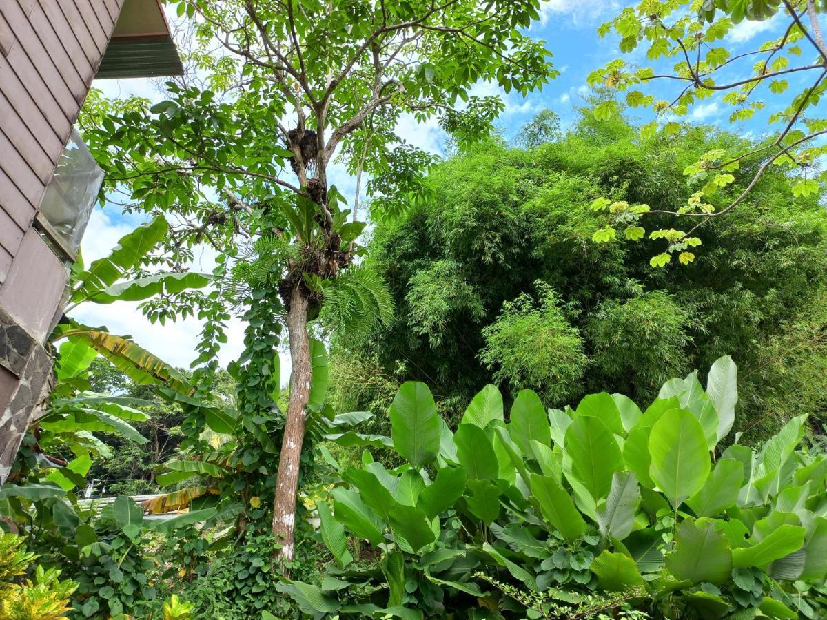 Sunrise House Bed & Breakfast Quepos Ngoại thất bức ảnh
