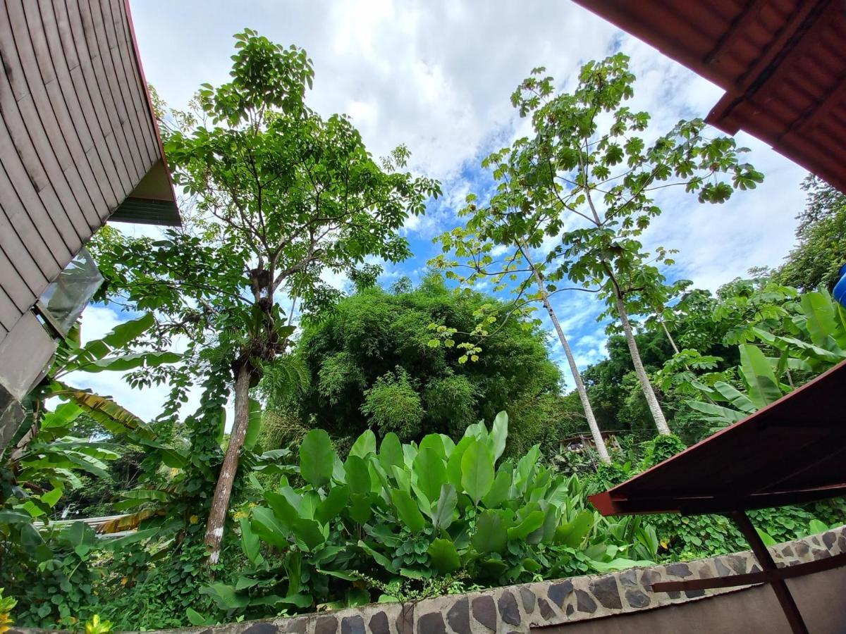 Sunrise House Bed & Breakfast Quepos Ngoại thất bức ảnh