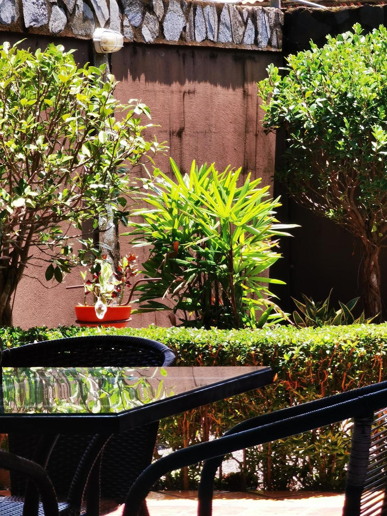 Sunrise House Bed & Breakfast Quepos Ngoại thất bức ảnh