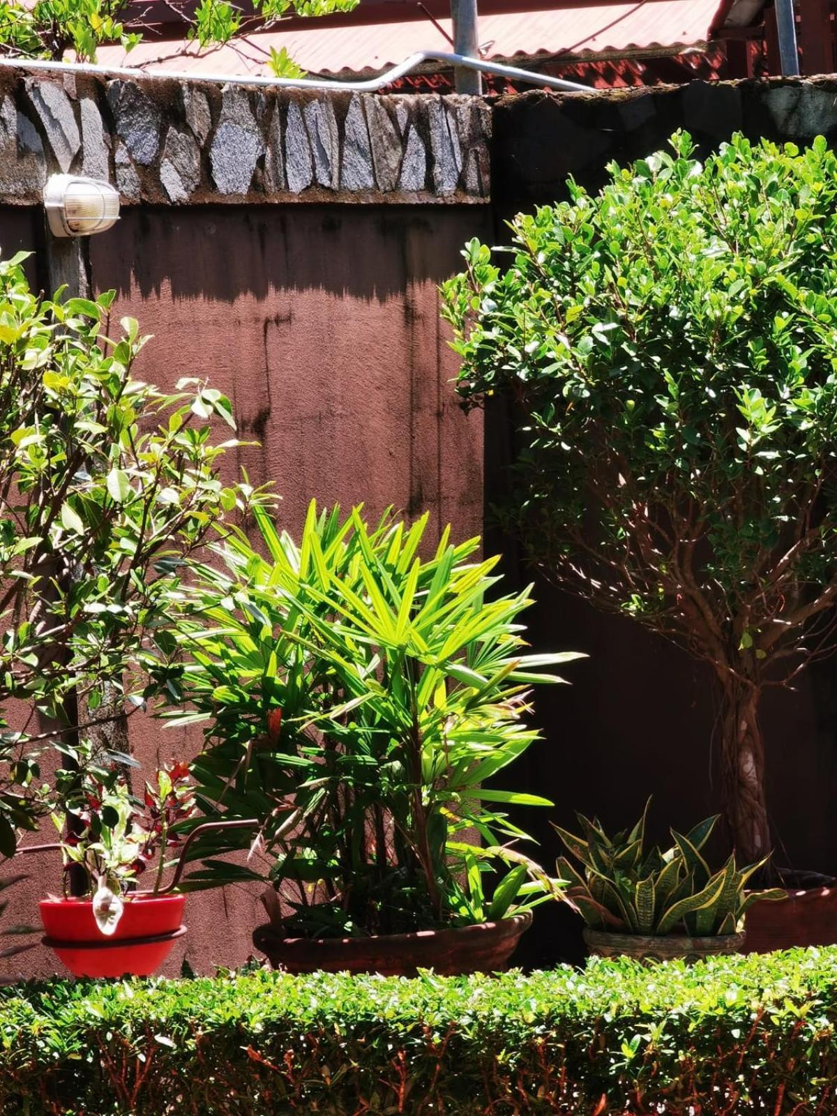 Sunrise House Bed & Breakfast Quepos Ngoại thất bức ảnh